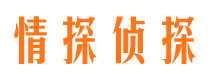 永寿市调查公司